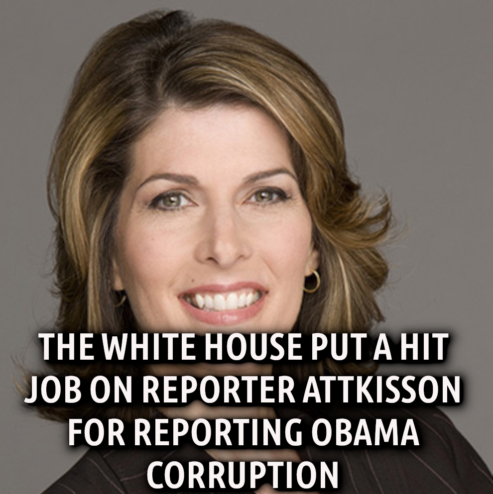 ATTKISSON_SPEAKS_FIGHT_BACK.png