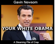 GAVIN_NEWSOM_YOUR_WHITE_OBAM_Dept_of_Energy_Slush_Fund_Stock_Market_Scam_Corruption.png