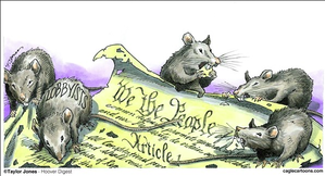 OBAMAS_RATS_Dept_of_Energy_Slush_Fund_Stock_Market_Scam_Corruption.png