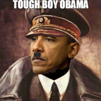 OBAMA_THE_MEGA_DOUCHE_BAG_Dept_of_Energy_Slush_Fund_Stock_Market_Scam_Corruption.png