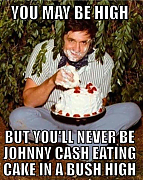 JOHNNY_CASH_Dept_of_Energy_Slush_Fund_Stock_Market_Scam_Corruption.jpg