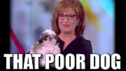 JOY_BEHAR_SUCKS_BALLS_Dept_of_Energy_Slush_Fund_Stock_Market_Scam_Corruption.png