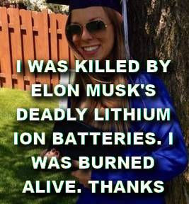 AFGHAN-LITHIUM-SCAM_-casey-was-killed-by-a-tesla-MUSK-267x288.png