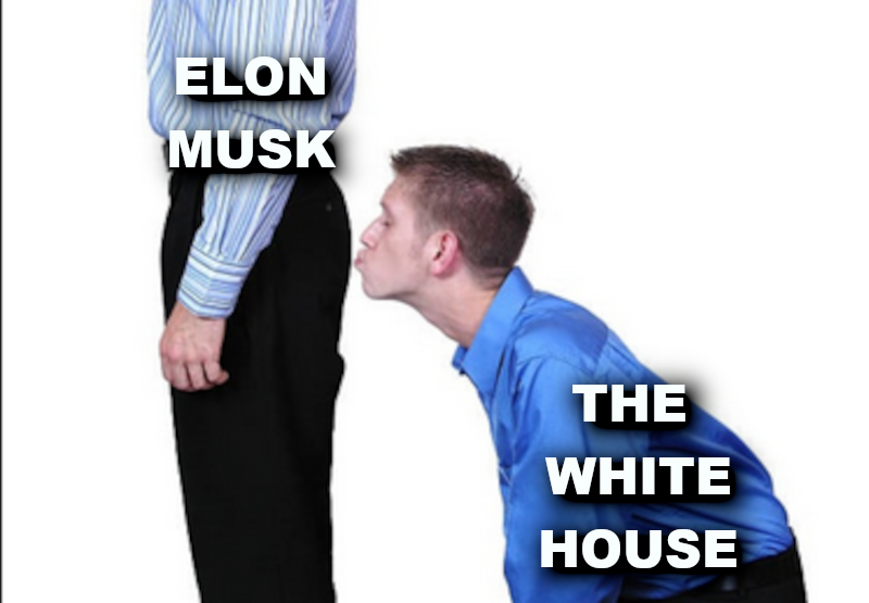 EDWARD_RING_KISSES_ELON_MUSKS_ASS.png