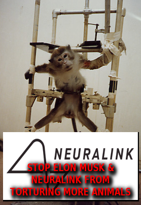 ELON_MUSK_NEURALINK_TORTURES_ANIMALS.png