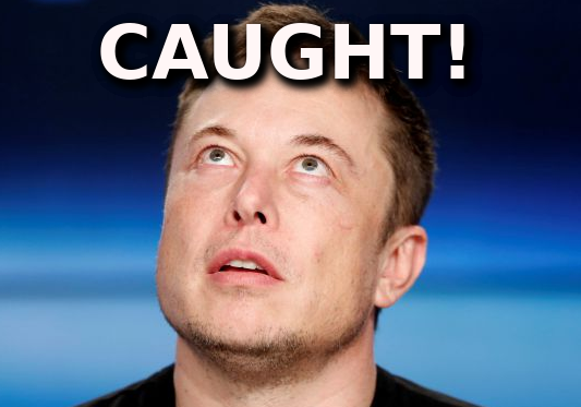 MUSK_CAUGHT_bbb_ELON_MUSK_IS_A_CROOK_AND_SCAMMER.png