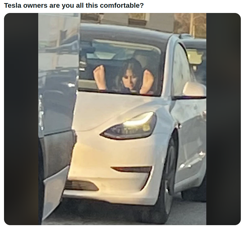 TESLA_OWNER_IDIOTS.png