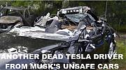 ANOTHER-DEAD-TESLA-DRIVER_v1-MUSK.png