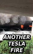 Dept-of-Energy-Slush-Fund-Stock-Market-Scam-TESLA-FIRES-Elon-Musk-Corruption-And-Crappy-Engineering-Make-Tesla-Cars-So-Unsafe--183x300.jpg