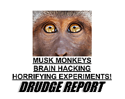 musk-tortures-animals-all-day.png