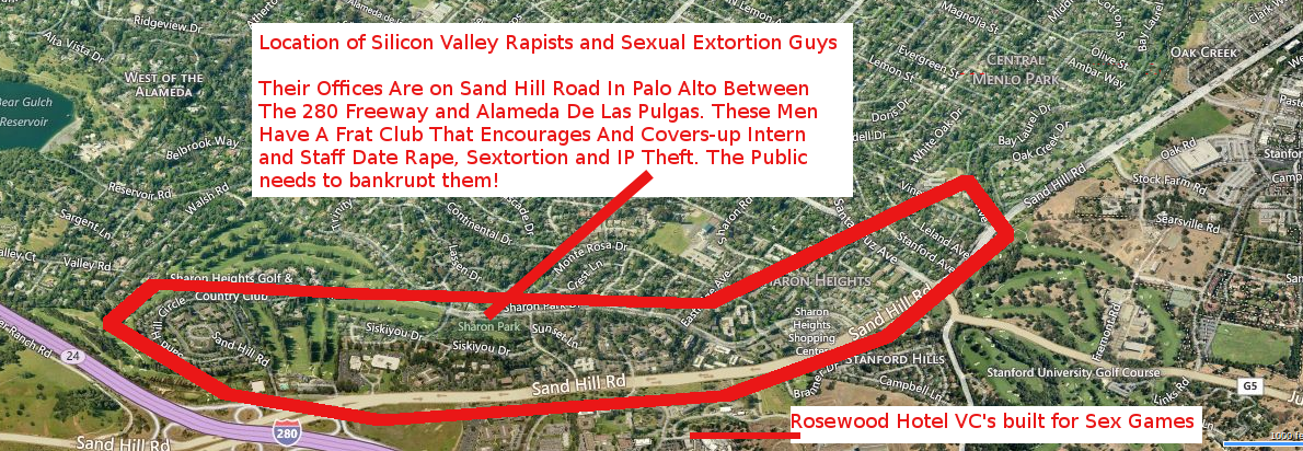 SILICON_VALLEY_RAPISTS_ON_SANDHILL_ROAD_Silicon_Valley_Cartel_Crime_Boss_Sex_Addict_Douche_Bags.png