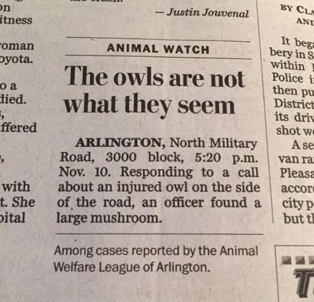 THE_OWLS_ARE_NOT_WHAT_THEY_SEEM_THE_SILICON_VALLEY_MAFIA.jpg