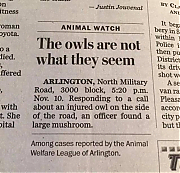 THE_OWLS_ARE_NOT_WHAT_THEY_SEEM_THE_SILICON_VALLEY_MAFIA.jpg