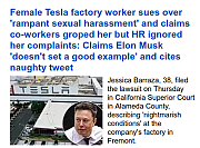 ELON_MUSK_SEX_CRIMES~0.png