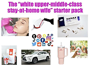 white-upper-middle-class-stay-at-home-wife-starter-pack-v0-6wuouofogmac1~1.png