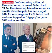 JOE-THE-SCAMMER.png