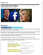 FACEBOOK-RIGS-ELECTIONS2-pdf-792x1024~0.jpg