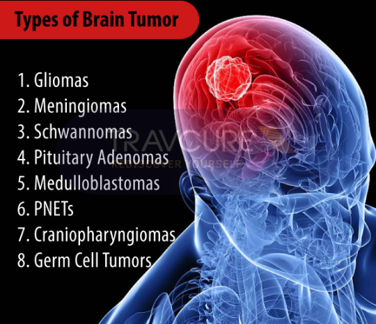 SPACEX BRAIN CANCERS ELON MUSK IS A CROOK AND SCAMMER
Keywords: Rare Earth Mines Of Afghanistan, New America Foundation Corruption, Obama, Obama Campaign Finance, Obama FEC violations, Palo Alto Mafia, Paypal Mafia, Pelosi Corruption, Political bribes, Political Insider,  Eric Schmidts Sex Penthouse, SEC Investigation