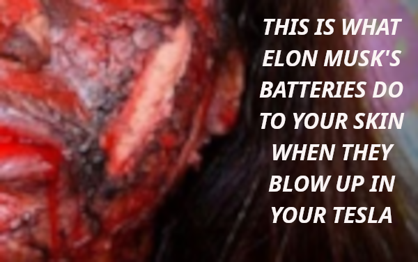 TESLA LiION battery explosion_low
Keywords: Rare Earth Mines Of Afghanistan, New America Foundation Corruption, Obama, Obama Campaign Finance, Obama FEC violations, Palo Alto Mafia, Paypal Mafia, Pelosi Corruption, Political bribes, Political Insider,  Eric Schmidts Sex Penthouse, SEC Investigation