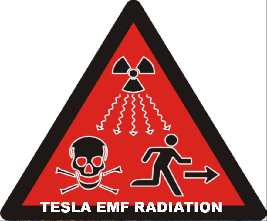 TESLA SPERM REDUCTION EMF RADIATION Elon Musk Corruption And Crappy Engineering Make Tesla Cars So Unsafe 
Keywords: Rare Earth Mines Of Afghanistan, New America Foundation Corruption, Obama, Obama Campaign Finance, Obama FEC violations, Palo Alto Mafia, Paypal Mafia, Pelosi Corruption, Political bribes, Political Insider,  Eric Schmidts Sex Penthouse, SEC Investigation