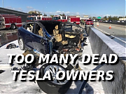 ANOTHER-DEAD-TESLA-DRIVER-vvv.png