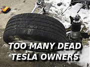 ANOTHER_DEAD_TESLA_OWNER_66699_Elon_Musk_Corruption_And_Crappy_Engineering_Make_Tesla_Cars_So_Unsafe_~0.png