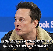 BALD_KAREN_MUSK.png