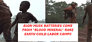 ELON_MUSK_HAS_CHILD_LABOR_FARMS~0.png