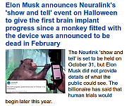 ELON_MUSK_KILLS_ANIMALS_CCC28129~0.png