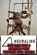 ELON_MUSK_NEURALINK_TORTURES_ANIMALS~0.png