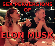 ELON_MUSK_THE_PERVERT.png