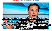 FRAUD-ELON-MUSK-DOUCHE-MAN-1113x660~0.png