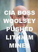 James-woolsey-lithium-ion-battery-shill-ELON-MUSK-IS-A-CROOK-AND-SCAMMER_v1~0.png