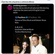 MUSK_IS_AN_IDIOT~0.png