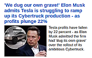 MUSK_IS_A_FAILURE~0.png