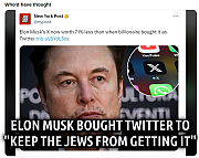 MUSK_PROFITS~1.png