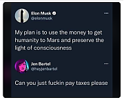 MUSK_TAX_CHEAT~1.png