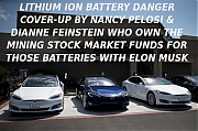 PICKET_THIS_TESLA_STORE_Elon_Musk_Corruption_And_Crappy_Engineering_Make_Tesla_Cars_So_Unsafe_~0.png