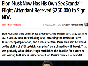 SCUMBAG_MUSK_LIES_ALL_DAY.png