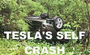 TESLA-HACKED-AND-CRASHED-3-ELON-MUSK-IS-A-LIAR-SCAMMER-POLITICAL-BRIBERY-CROOK_v1-MUSK~0.png