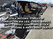 TESLA_CRASHES_WILL_KILL_YOU_Elon_Musk_Corruption_And_Crappy_Engineering_Make_Tesla_Cars_So_Unsafe_~0.png