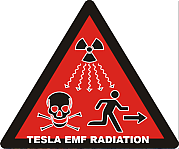 TESLA_SPERM_REDUCTION_EMF_RADIATION_Elon_Musk_Corruption_And_Crappy_Engineering_Make_Tesla_Cars_So_Unsafe_~0.png