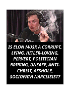 THE_CRIMES_AND_LIES_OF_ELON_MUSK-pdf~0.jpg