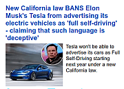 liar-musk-~0.png