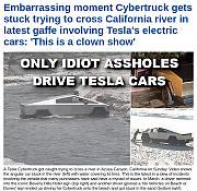 tesla_assholes_564~1.png