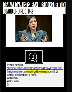 SUSAN-RICE-RIGS-NETFLIX-THE-SILICON-VALLEY-TECH-MAFIA.png