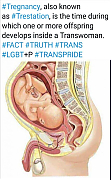 ANAL-TRANS-BIRTH~1.jpg