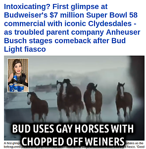 GAY_HORSES_FOR_BUDWEISER.png