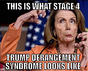 NANCY_PELOSI_IS_A_SICK_BITCH_WHO_SCREWS_OVER_CALIFORNIANS__Silicon_Valley_Tech_Oligarchs_And_Their_Operatives_ARE_The_Deep_State~0.jpg