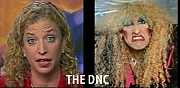 THE_DNC_REVEALED.png